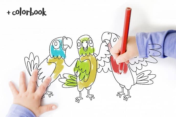 Free Parrot Color Book