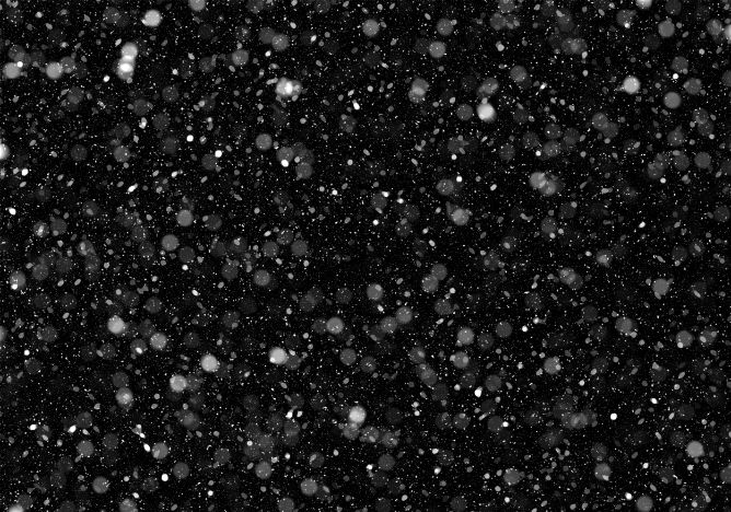FREE - 160+ Snow Overlays // Xquissive.com