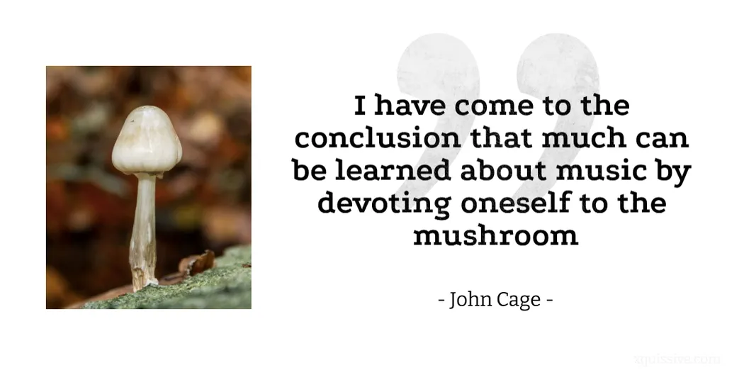 Inspirational Quote by John Cage